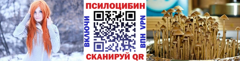 Галлюциногенные грибы Cubensis  Верхотурье 